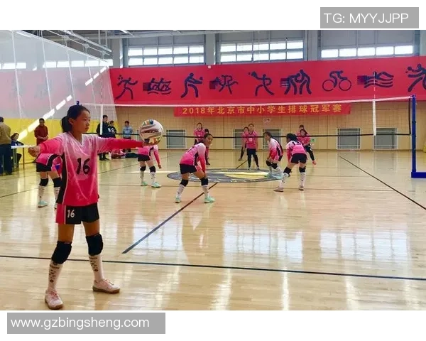 北京排球队逆袭之旅:从低谷到巅峰的冠军赛特别报道