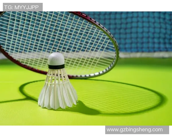 武汉羽毛球队防反战术解析与比赛表现深度剖析