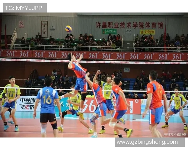 科学排球团队协作训练方法探索与实践提升团队默契与竞技水平