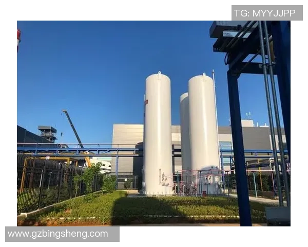 专业分析LNG市场的盯防策略与应对措施探讨